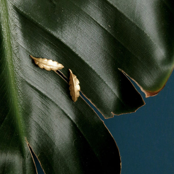 WHOLESALE: Leaflet Studs - Yellow Gold